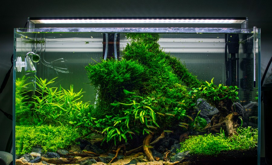 Navigieren in der Berechnung für Zylinderaquarien